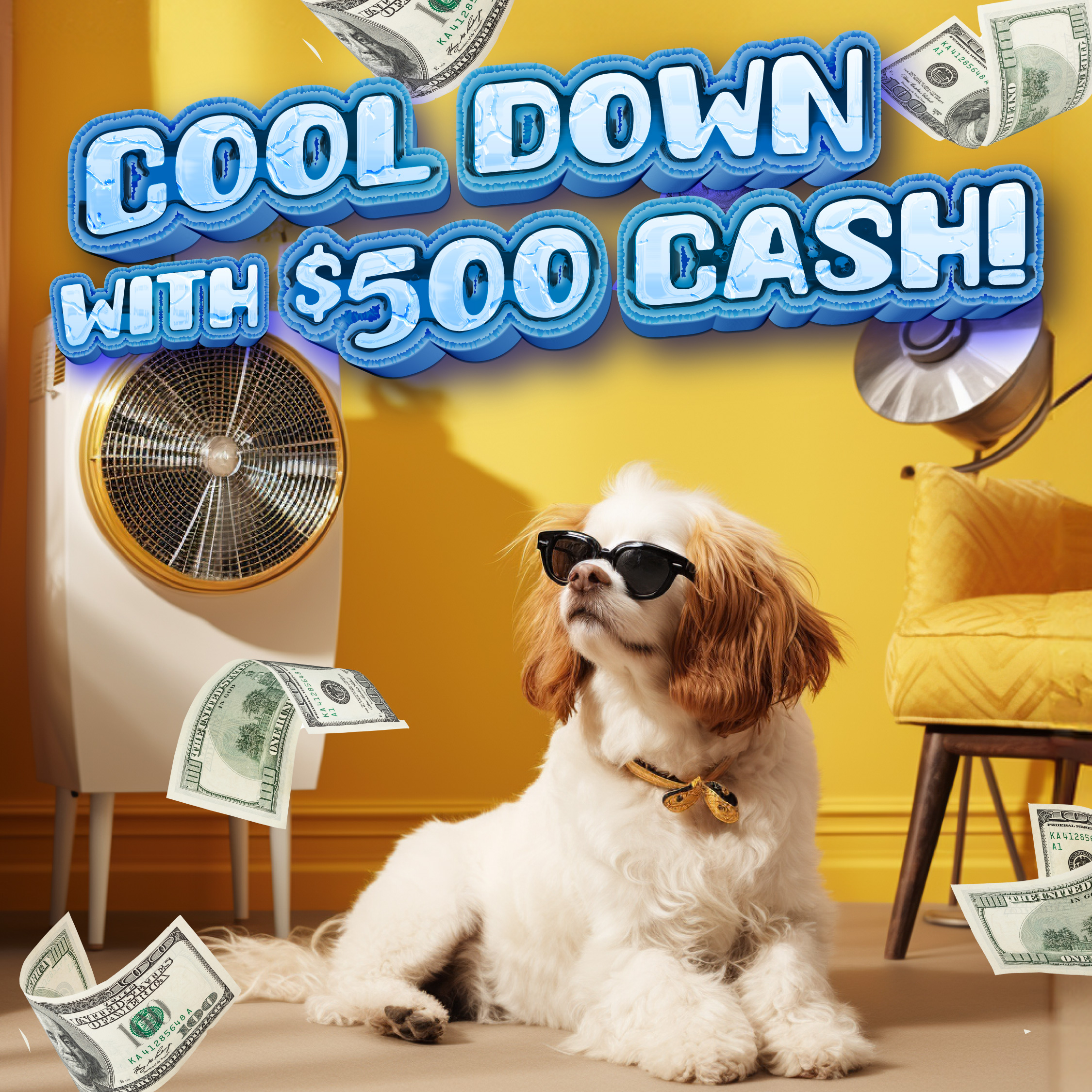 Cool Down With Cash Image
