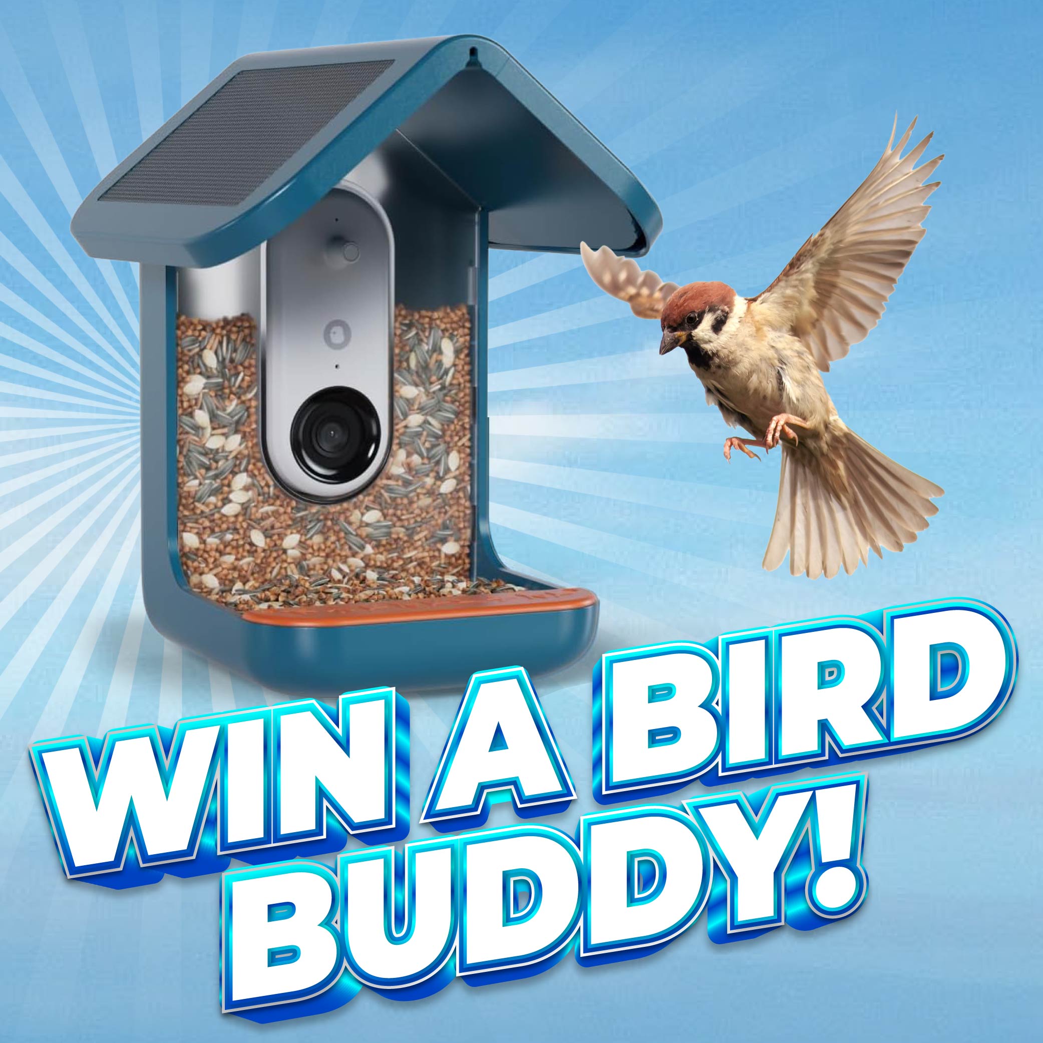 Win a Bird Buddy! Image