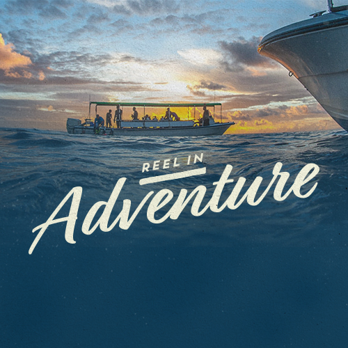 Reel in Adventure! Image