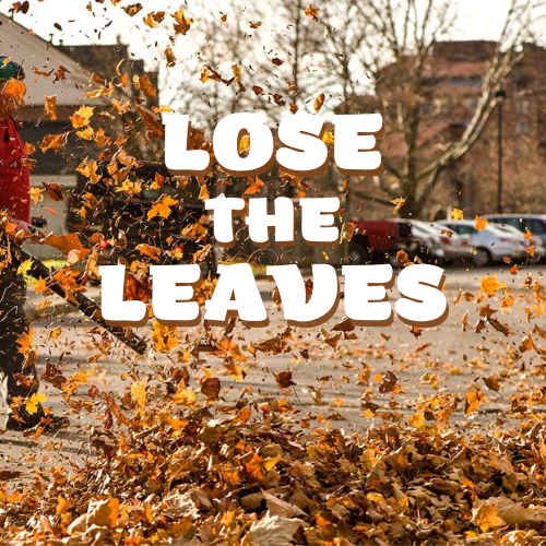Lose the Leaves Image